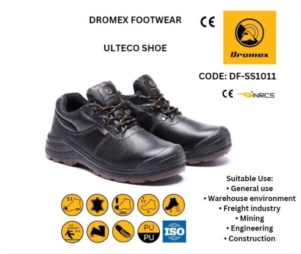 DROMEX ALTECO SHOE