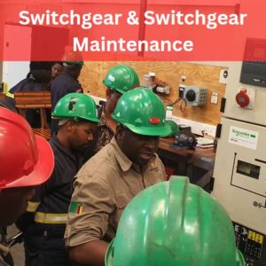 Devoltage Switchgear and Switchgear Maintenance Course