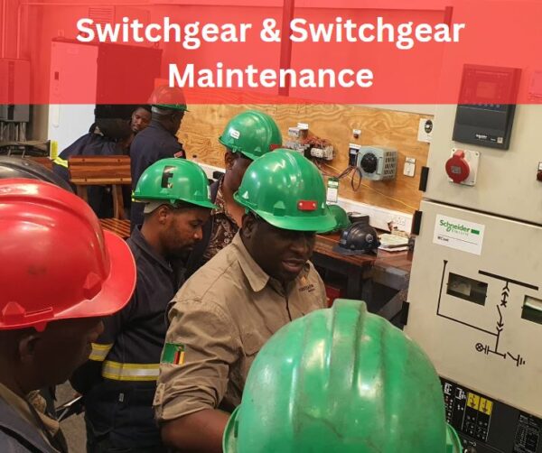 Devoltage Switchgear and Switchgear Maintenance Course